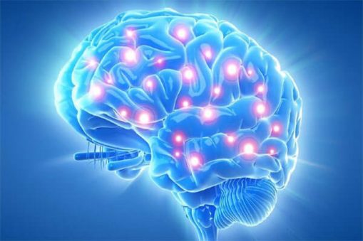 Dasbrain-3