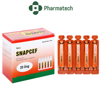 snapcef