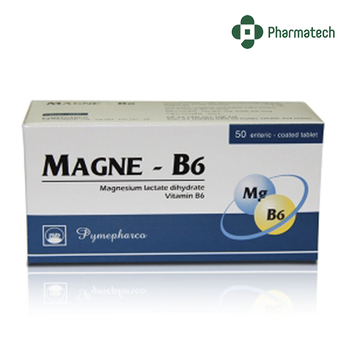 magneb6-pymepharco-1