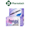 vh prenatal plus dha